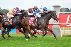 THINXZO BANKS SUCCESSIVE WINS